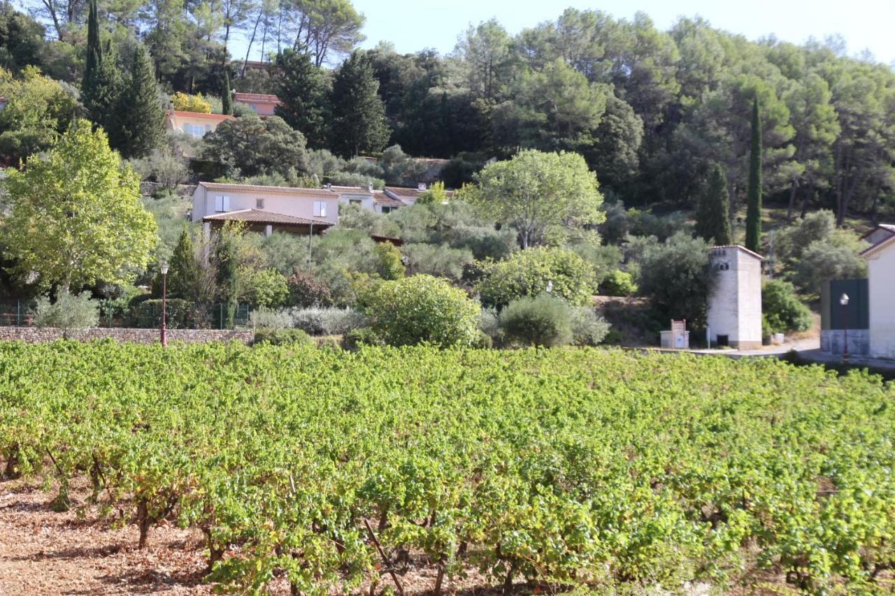 Location Gite Dans Le Var Villa Le Thoronet Luaran gambar